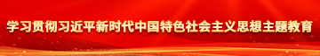 插笔自慰学习贯彻习近平新时代中国特色社会主义思想主题教育